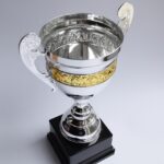 trophy, award, winner, prize, cup, victory, achievement, gold, goblet, competition, success, sport, first, champion, win, celebration, medal, championship, place, shiny, best, leadership, honor, reward, icon, golden, competitive, pedestal, metallic, trophy, trophy, trophy, trophy, trophy, award